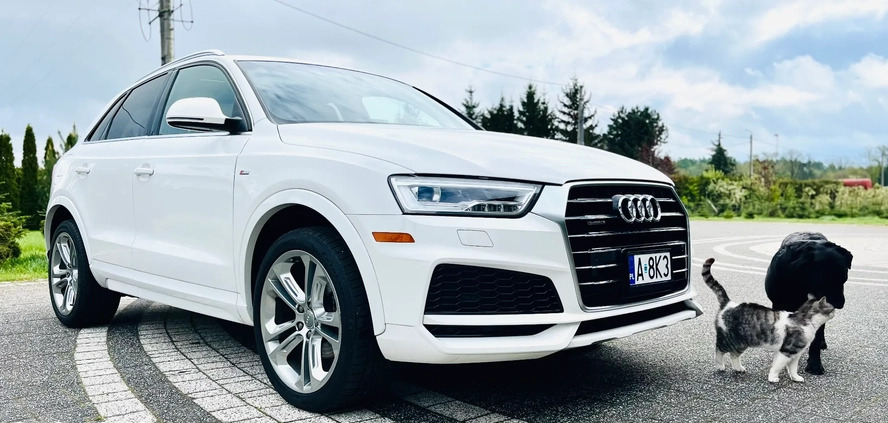 Audi Q3 cena 85900 przebieg: 124990, rok produkcji 2018 z Łuków małe 436